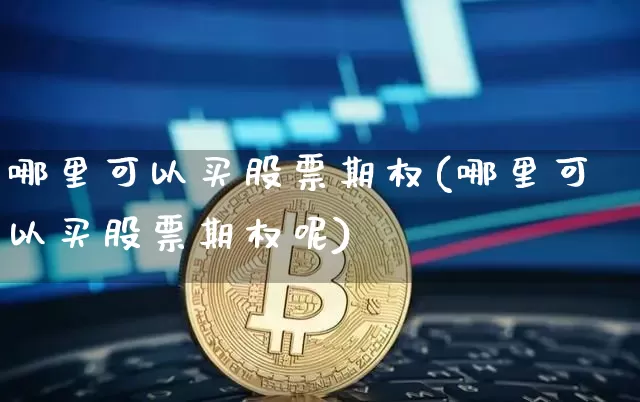 哪里可以买股票期权(哪里可以买股票期权呢)_https://www.jyywjc.com_科创板_第1张