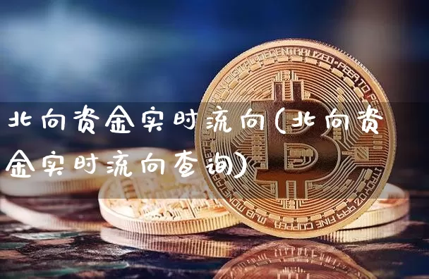 北向资金实时流向(北向资金实时流向查询)_https://www.jyywjc.com_股票_第1张