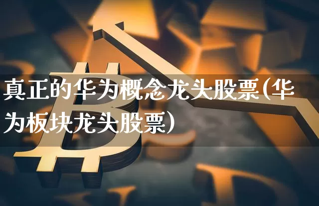 真正的华为概念龙头股票(华为板块龙头股票)_https://www.jyywjc.com_北交所_第1张
