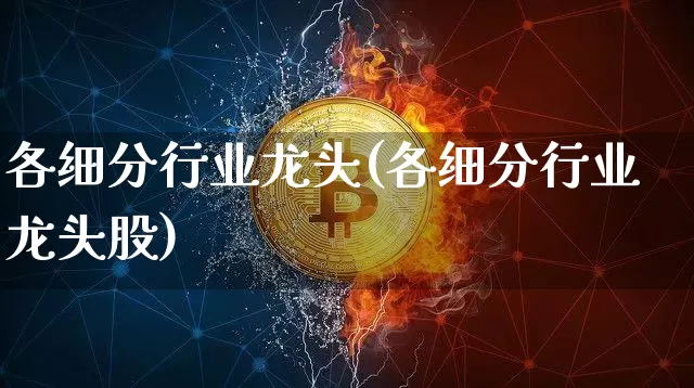 各细分行业龙头(各细分行业龙头股)_https://www.jyywjc.com_股票趋势_第1张