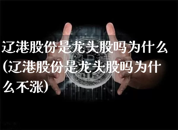 辽港股份是龙头股吗为什么(辽港股份是龙头股吗为什么不涨)_https://www.jyywjc.com_股票趋势_第1张