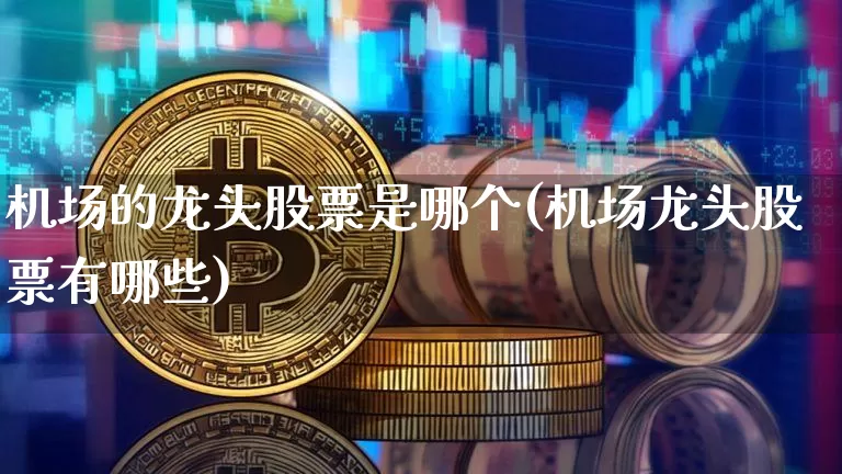 机场的龙头股票是哪个(机场龙头股票有哪些)_https://www.jyywjc.com_股票板块_第1张
