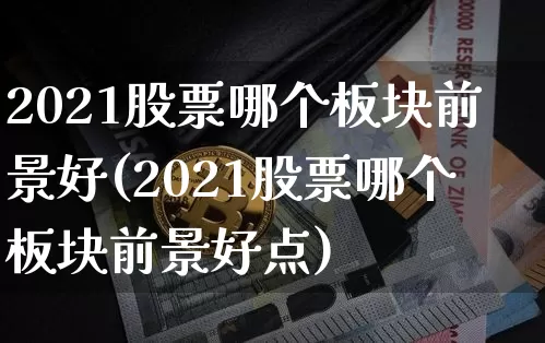 2021股票哪个板块前景好(2021股票哪个板块前景好点)_https://www.jyywjc.com_北交所_第1张