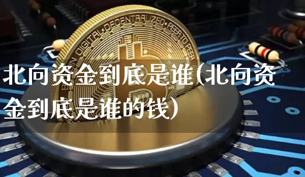 北向资金到底是谁(北向资金到底是谁的钱)_https://www.jyywjc.com_股票价格_第1张