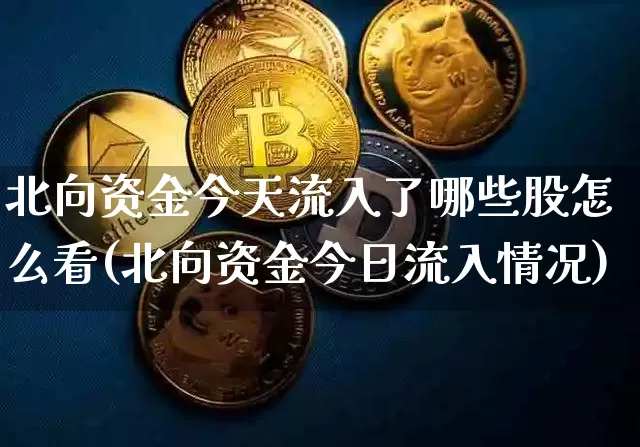 北向资金今天流入了哪些股怎么看(北向资金今日流入情况)_https://www.jyywjc.com_股票价格_第1张