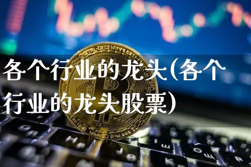 各个行业的龙头(各个行业的龙头股票)_https://www.jyywjc.com_股票_第1张