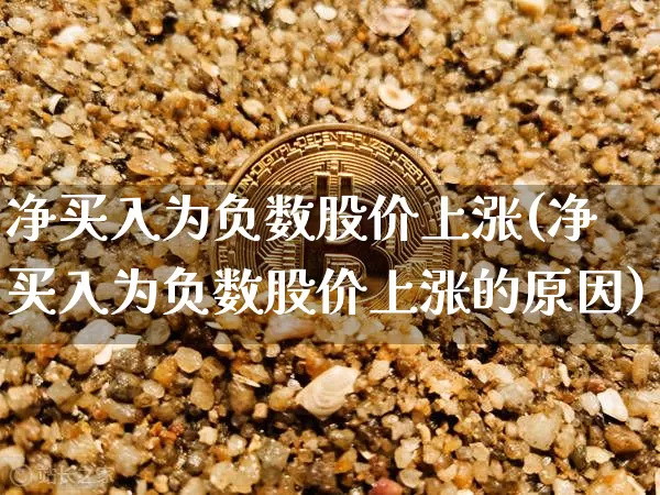 净买入为负数股价上涨(净买入为负数股价上涨的原因)_https://www.jyywjc.com_股票_第1张