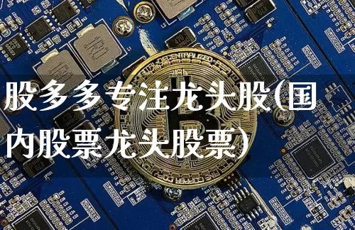 股多多专注龙头股(国内股票龙头股票)_https://www.jyywjc.com_股票板块_第1张