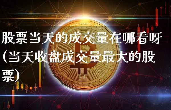 股票当天的成交量在哪看呀(当天收盘成交量最大的股票)_https://www.jyywjc.com_深交所_第1张