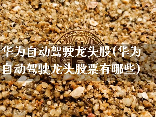 华为自动驾驶龙头股(华为自动驾驶龙头股票有哪些)_https://www.jyywjc.com_股票价格_第1张