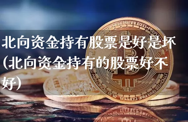 北向资金持有股票是好是坏(北向资金持有的股票好不好)_https://www.jyywjc.com_股票_第1张