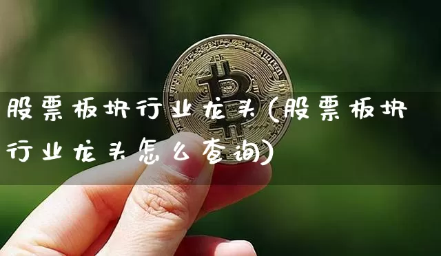 股票板块行业龙头(股票板块行业龙头怎么查询)_https://www.jyywjc.com_股票行情_第1张