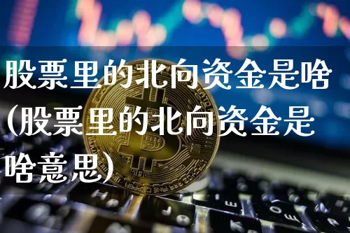 股票里的北向资金是啥(股票里的北向资金是啥意思)_https://www.jyywjc.com_股票板块_第1张