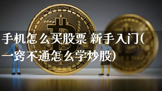 手机怎么买股票 新手入门(一窍不通怎么学炒股)_https://www.jyywjc.com_股票价格_第1张