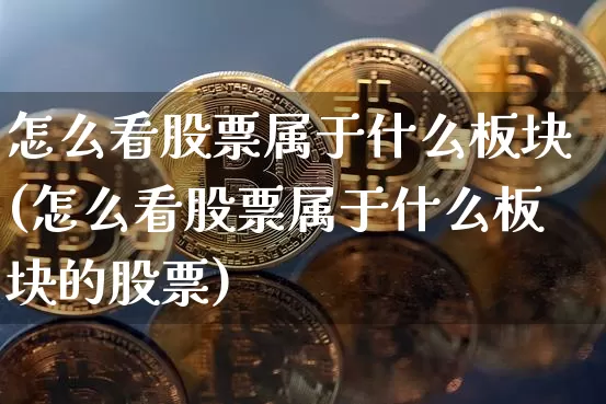 怎么看股票属于什么板块(怎么看股票属于什么板块的股票)_https://www.jyywjc.com_上交所_第1张