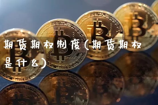 期货期权制度(期货期权是什么)_https://www.jyywjc.com_深交所_第1张