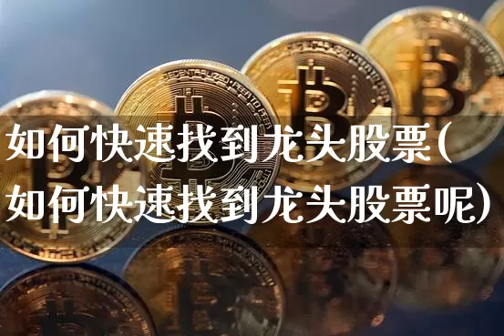 如何快速找到龙头股票(如何快速找到龙头股票呢)_https://www.jyywjc.com_股票板块_第1张