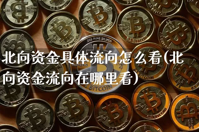 北向资金具体流向怎么看(北向资金流向在哪里看)_https://www.jyywjc.com_股票_第1张