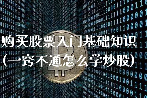 购买股票入门基础知识(一窍不通怎么学炒股)_https://www.jyywjc.com_深交所_第1张