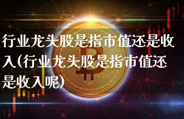 行业龙头股是指市值还是收入(行业龙头股是指市值还是收入呢)_https://www.jyywjc.com_深交所_第1张