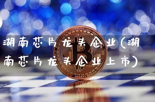 湖南芯片龙头企业(湖南芯片龙头企业上市)_https://www.jyywjc.com_股票行情_第1张