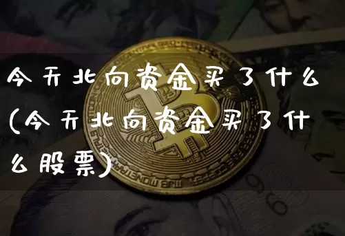 今天北向资金买了什么(今天北向资金买了什么股票)_https://www.jyywjc.com_股票板块_第1张
