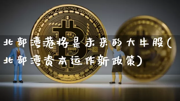 北部湾港将是未来的大牛股(北部湾资本运作新政策)_https://www.jyywjc.com_股票_第1张
