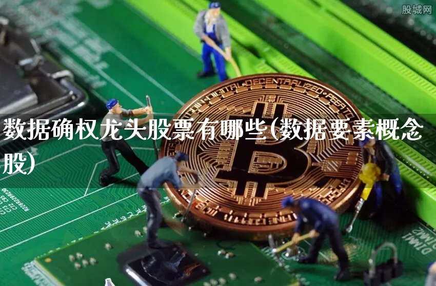 数据确权龙头股票有哪些(数据要素概念股)_https://www.jyywjc.com_上交所_第1张