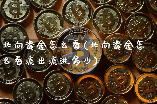 北向资金怎么看(北向资金怎么看流出流进多少)_https://www.jyywjc.com_股票价格_第1张