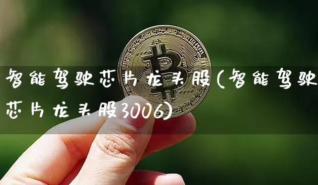 智能驾驶芯片龙头股(智能驾驶芯片龙头股3006)_https://www.jyywjc.com_股票板块_第1张