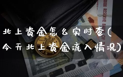 北上资金怎么实时查(今天北上资金流入情况)_https://www.jyywjc.com_股票板块_第1张