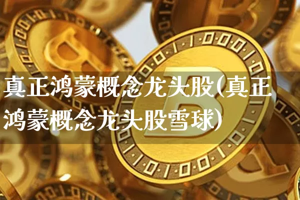 真正鸿蒙概念龙头股(真正鸿蒙概念龙头股雪球)_https://www.jyywjc.com_深交所_第1张