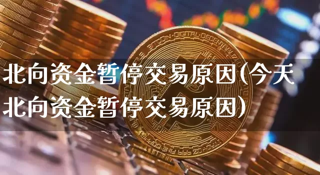 北向资金暂停交易原因(今天北向资金暂停交易原因)_https://www.jyywjc.com_股票价格_第1张