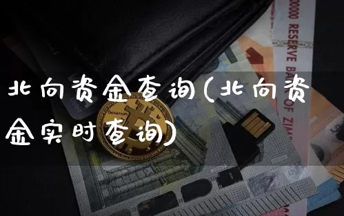 北向资金查询(北向资金实时查询)_https://www.jyywjc.com_股票行情_第1张