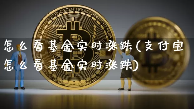 怎么看基金实时涨跌(支付宝怎么看基金实时涨跌)_https://www.jyywjc.com_股票板块_第1张