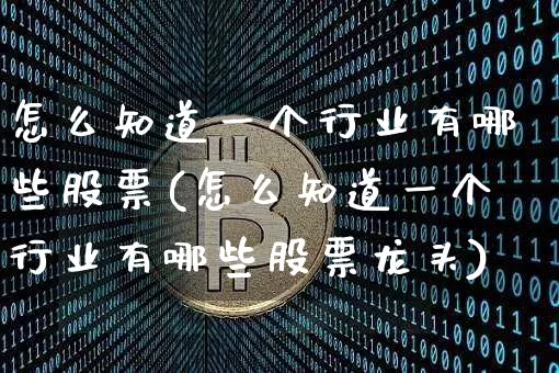 怎么知道一个行业有哪些股票(怎么知道一个行业有哪些股票龙头)_https://www.jyywjc.com_上交所_第1张