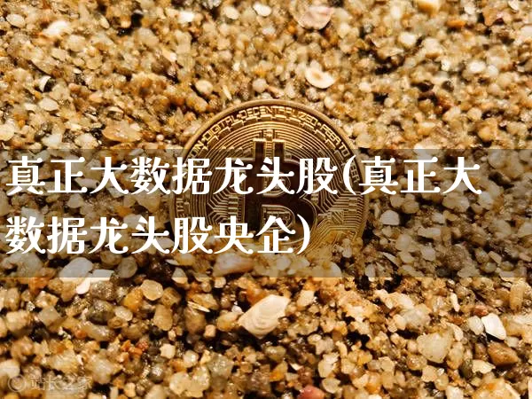 真正大数据龙头股(真正大数据龙头股央企)_https://www.jyywjc.com_北交所_第1张