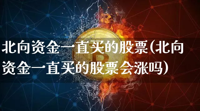 北向资金一直买的股票(北向资金一直买的股票会涨吗)_https://www.jyywjc.com_股票_第1张