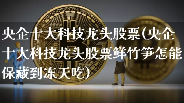 央企十大科技龙头股票(央企十大科技龙头股票鲜竹笋怎能保藏到冻天吃)_https://www.jyywjc.com_北交所_第1张