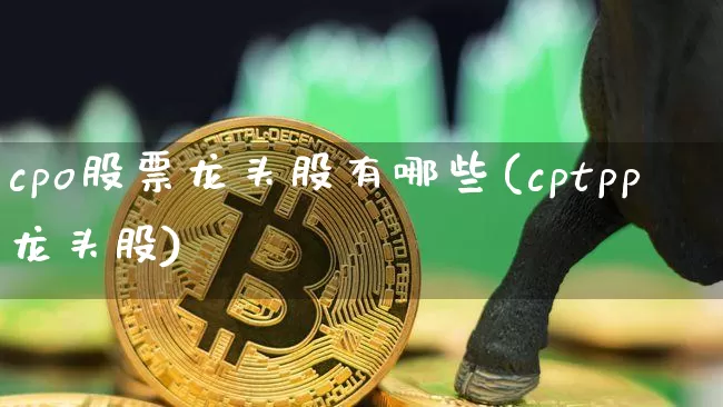 cpo股票龙头股有哪些(cptpp龙头股)_https://www.jyywjc.com_科创板_第1张
