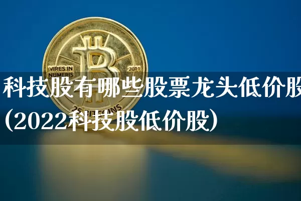 科技股有哪些股票龙头低价股(2022科技股低价股)_https://www.jyywjc.com_深交所_第1张