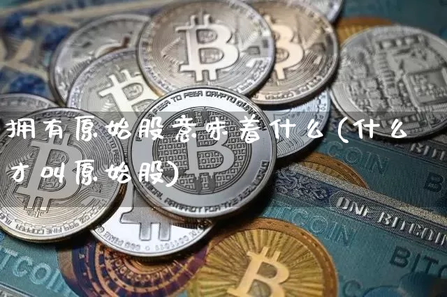 拥有原始股意味着什么(什么才叫原始股)_https://www.jyywjc.com_创业板_第1张