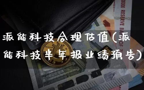 派能科技合理估值(派能科技半年报业绩预告)_https://www.jyywjc.com_股票趋势_第1张