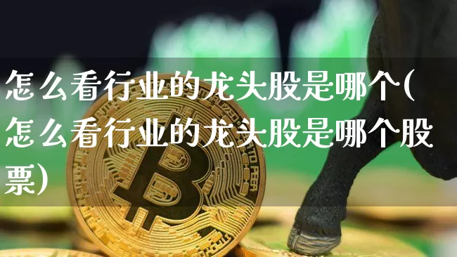 怎么看行业的龙头股是哪个(怎么看行业的龙头股是哪个股票)_https://www.jyywjc.com_股票行情_第1张