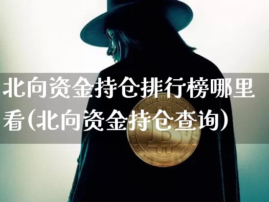 北向资金持仓排行榜哪里看(北向资金持仓查询)_https://www.jyywjc.com_股票趋势_第1张