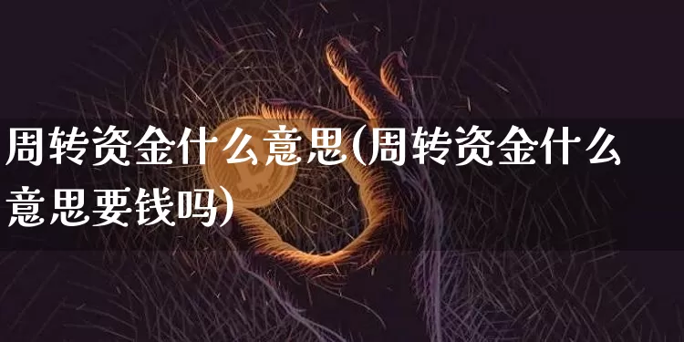周转资金什么意思(周转资金什么意思要钱吗)_https://www.jyywjc.com_股票板块_第1张