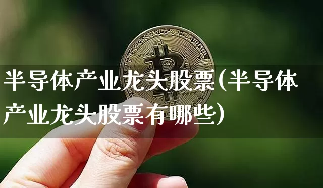 半导体产业龙头股票(半导体产业龙头股票有哪些)_https://www.jyywjc.com_股票价格_第1张