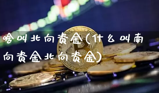 啥叫北向资金(什么叫南向资金北向资金)_https://www.jyywjc.com_股票行情_第1张