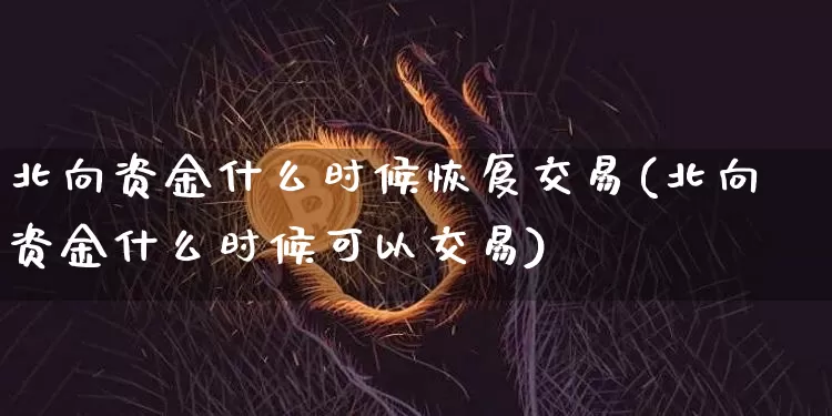 北向资金什么时候恢复交易(北向资金什么时候可以交易)_https://www.jyywjc.com_股票价格_第1张