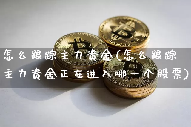 怎么跟踪主力资金(怎么跟踪主力资金正在进入哪一个股票)_https://www.jyywjc.com_股票价格_第1张
